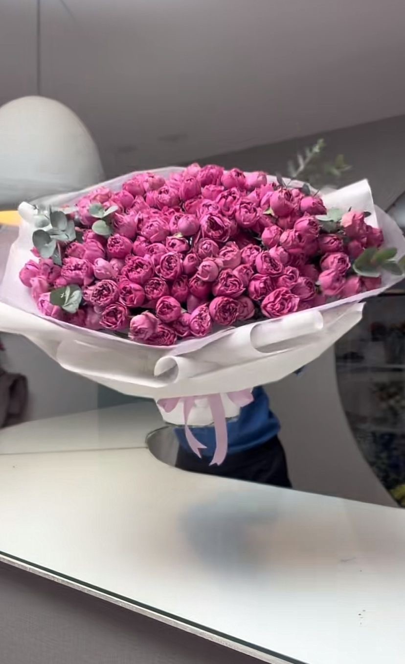 Garden rose