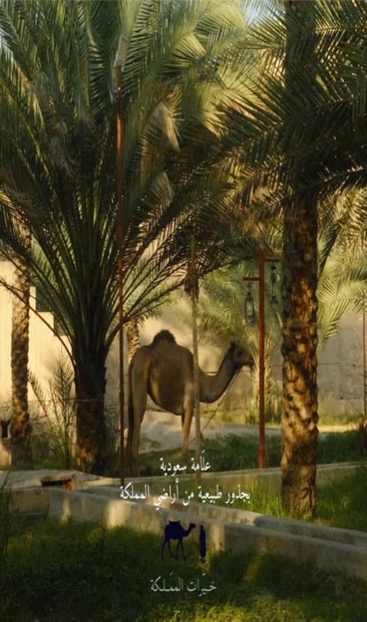 خيرات المملكة في 2026 