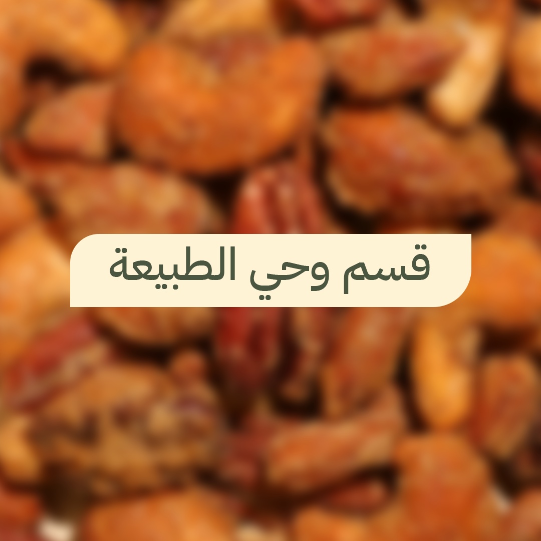 مكسرات مكرملة ومعمول تمر فاخر من مسكاني