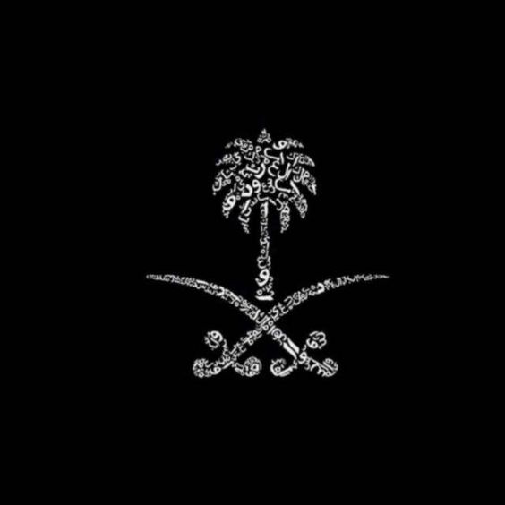 محمد عبد العزيز