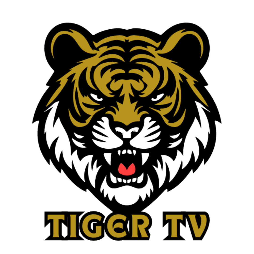 اشتراك تايجر iptv
