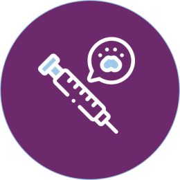 الصحة والرعاية