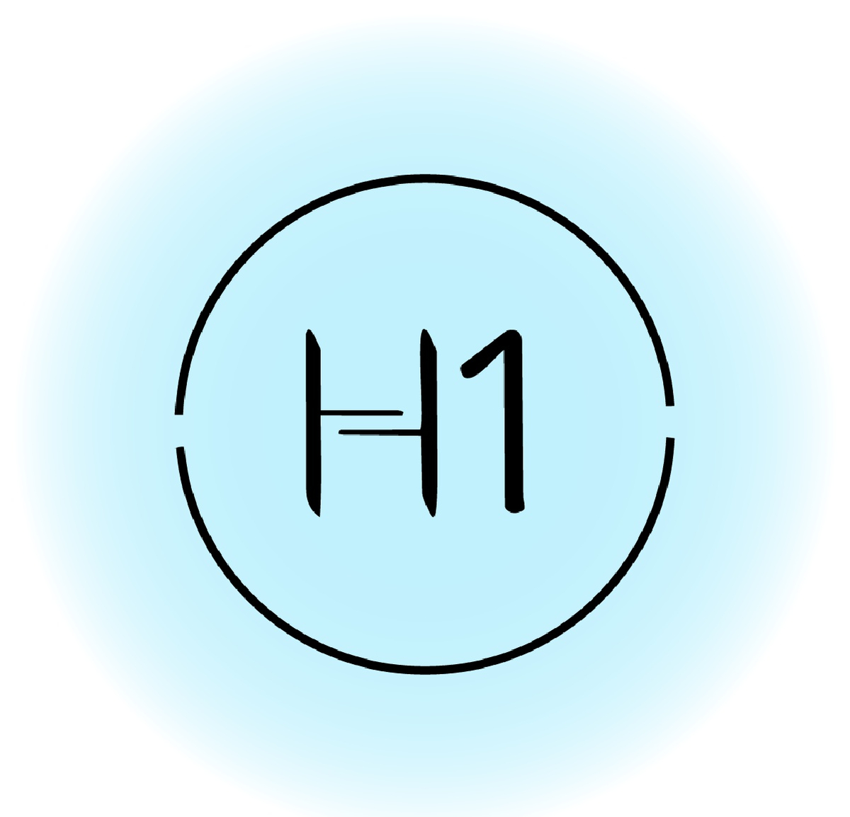 مسك الباودر H1