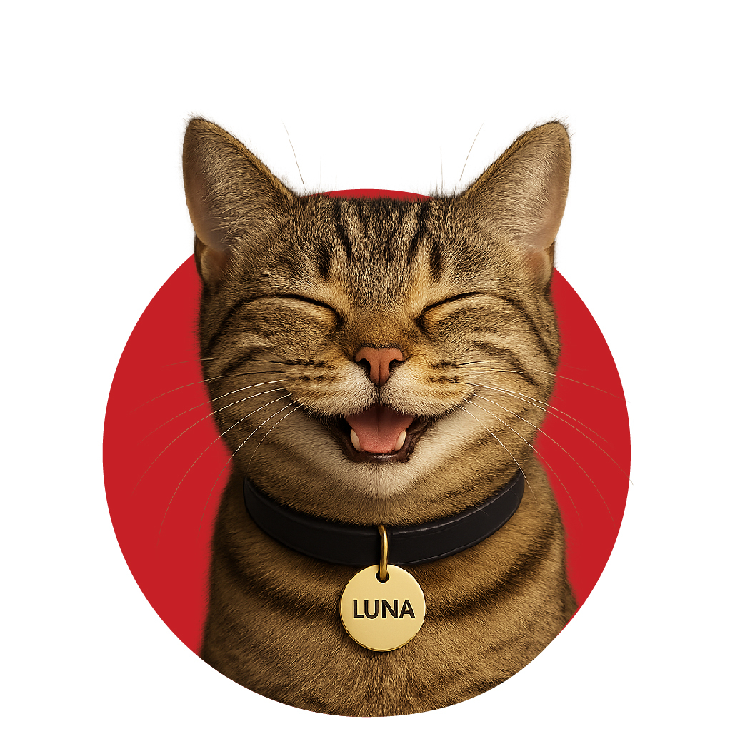 ID tags