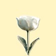 الهدايا