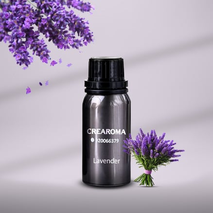 Lavender Essential Oil