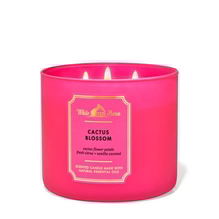 Cactus Blossom | 3 Wick Candle