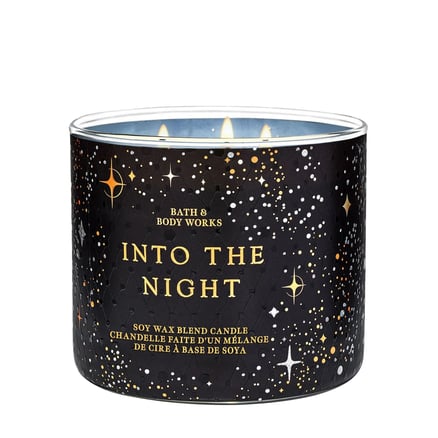 Into the Night | 3-Wick Candle