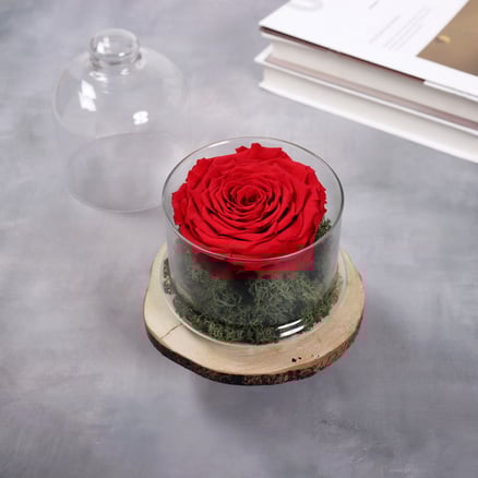 Eternal red glass dome