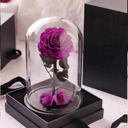 Preserved Rose in Glass Dome