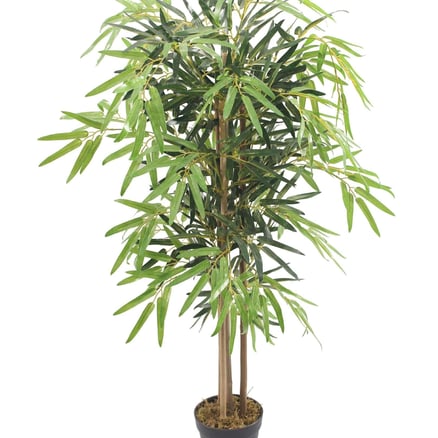 Bamboo Tree-120cm