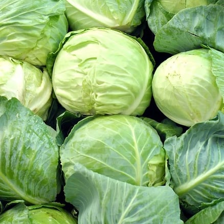 White cabbage