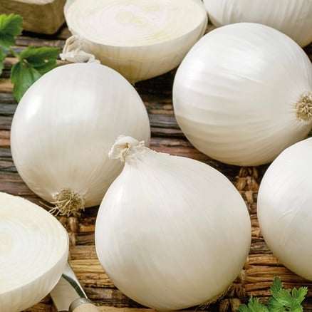 White Onion