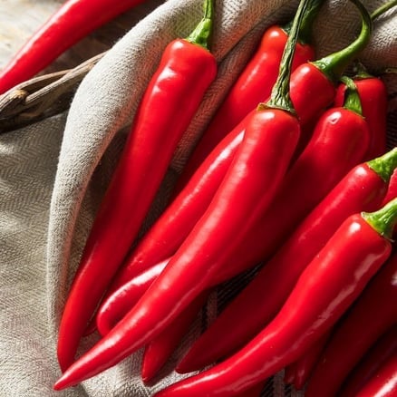Red Chilli