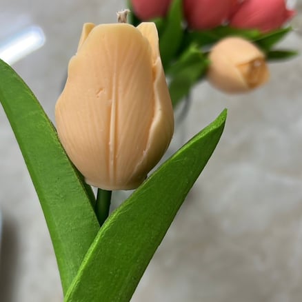 ورده توليب معطره