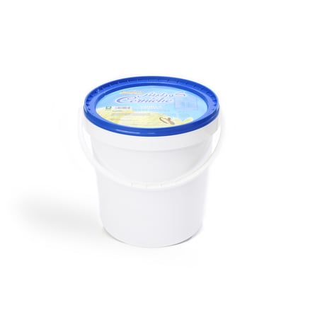 VANILLA ICE CREAM 10 LITER