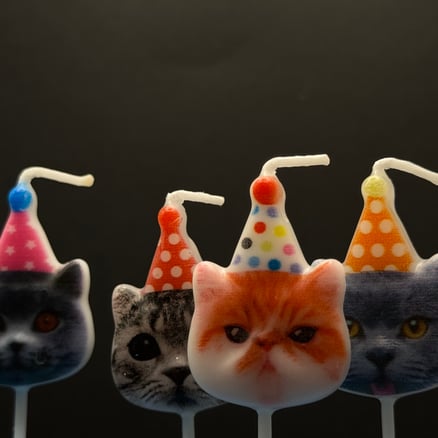 Cats Candle