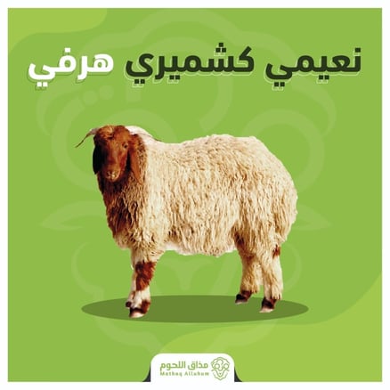 نعيمي كشميري هرفي