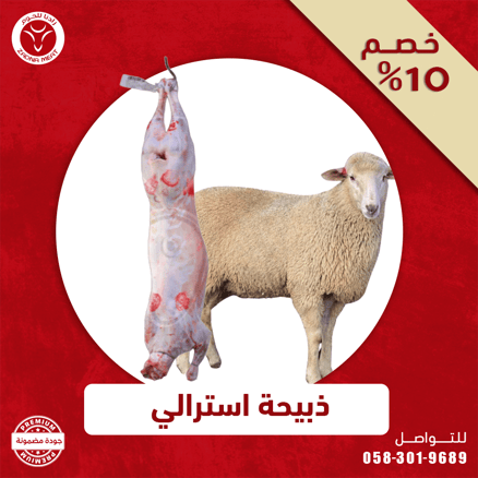 خروف استرالي 16-17 كيلو