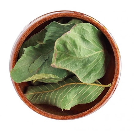 Guava leaf