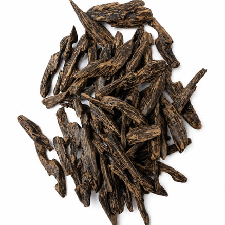 Cambodian Oud mohasan