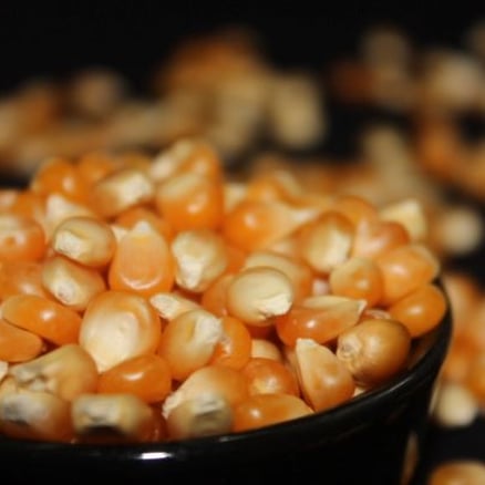 حب ذرة (بوب كورن)
