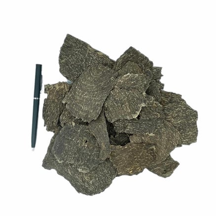 تشار هندي (ثمن)