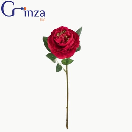 زهرة الروز - لون أحمر