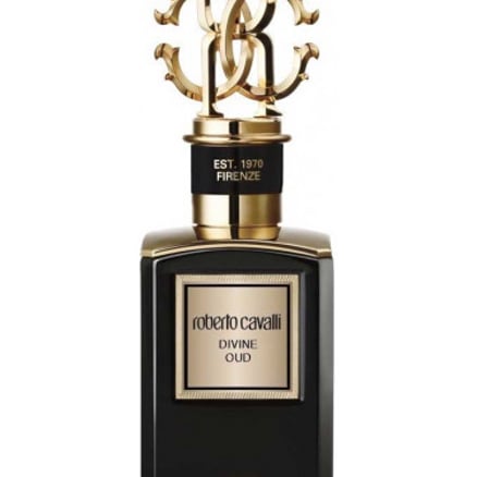 Divine Oud Roberto Cavalli للجنسين 100 مل