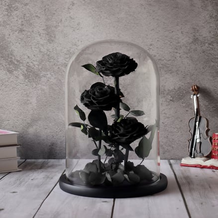 Three Perpetual Black Flowers