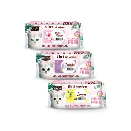 مناديل معطرة للقطط من شركة KitCat