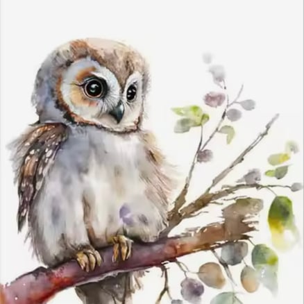 بـومة_image_0