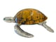 Large Sea Turtle Tiger Color Shell Box_image_2