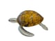 Large Sea Turtle Tiger Color Shell Box_image_10