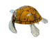 Large Sea Turtle Tiger Color Shell Box_image_5