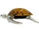 Large Sea Turtle Tiger Color Shell Box_image_7
