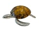 Large Sea Turtle Tiger Color Shell Box_image_6