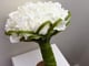 مسكة شبه طبيعي_image_4