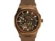Fitron auto belt_image_0