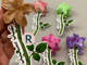 وردات العيد 🌸_image_4