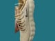 Nike MIND_image_2