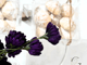تدرج_image_6