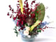 فازة عنابي وسماوي_image_0