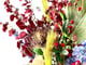 فازة عنابي وسماوي_image_2