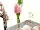 سعادة المناسبات_image_2