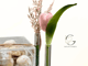 سعادة المناسبات_image_3