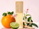 استي لودر عطر او دو برايفت كوليكشن سبراي - او دو برفيوم - 50مل_image_3