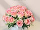 روز قاردن_image_7