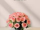 روز قاردن_image_8