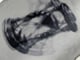 MOTION_image_6